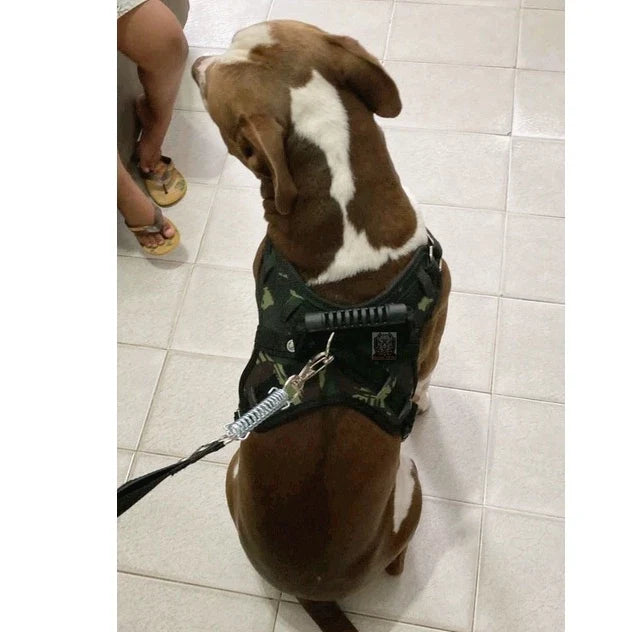 Peitoral Reforçado em Couro para Raças Fortes – Segurança, Durabilidade e Conforto
