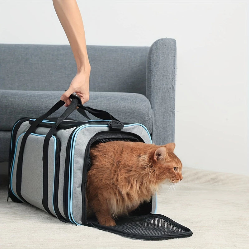 Bolsa de transporte expansível