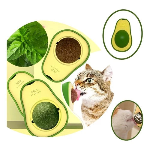 Abacate de Catnip - Erva-do-gato