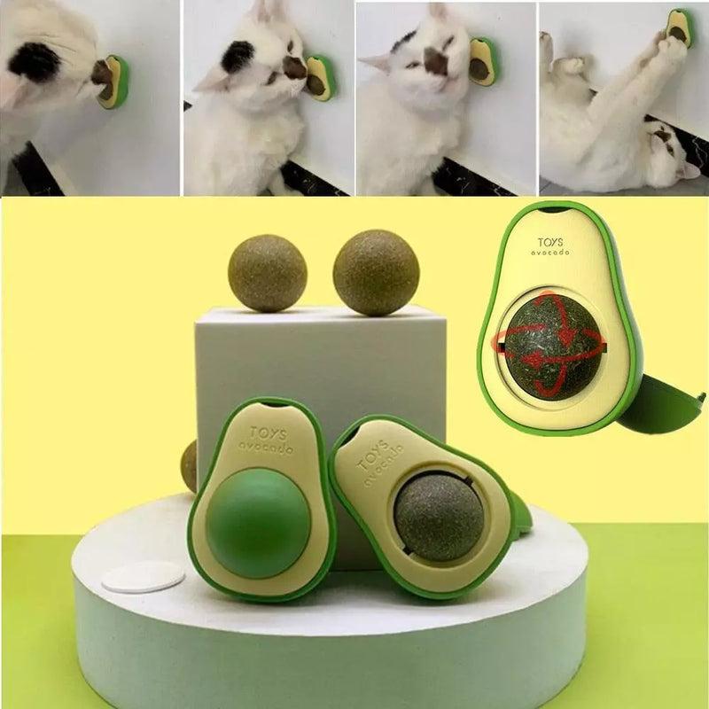 Abacate de Catnip - Erva-do-gato