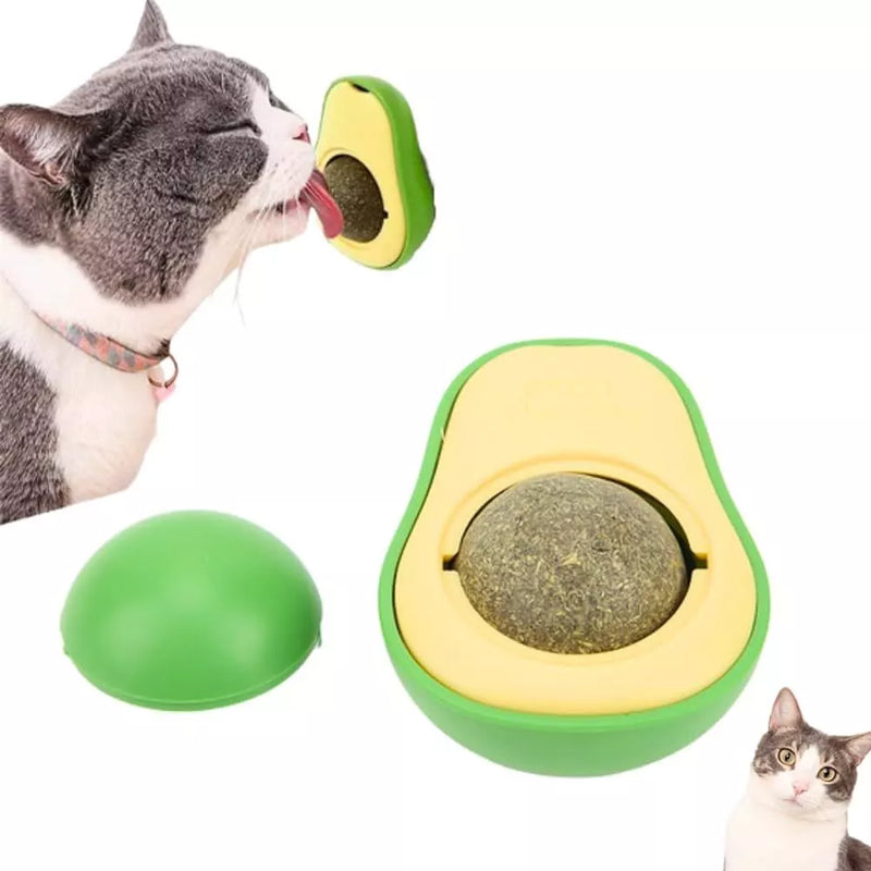 Abacate de Catnip - Erva-do-gato