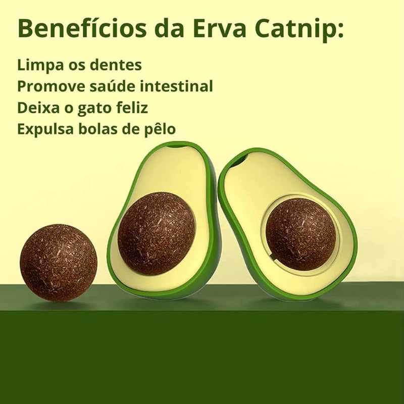 Abacate de Catnip - Erva-do-gato
