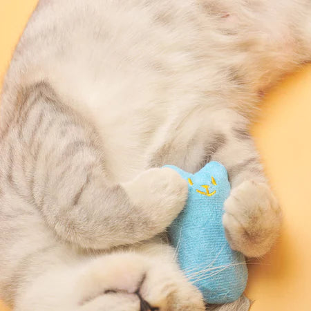Ursinho de catnip - Compre 1 e leve 2!