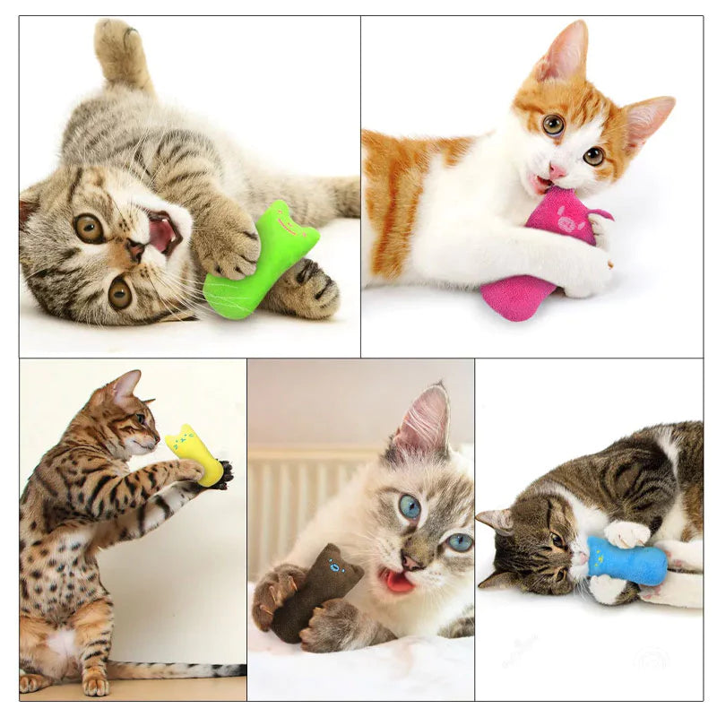 Ursinho de catnip - Compre 1 e leve 2!