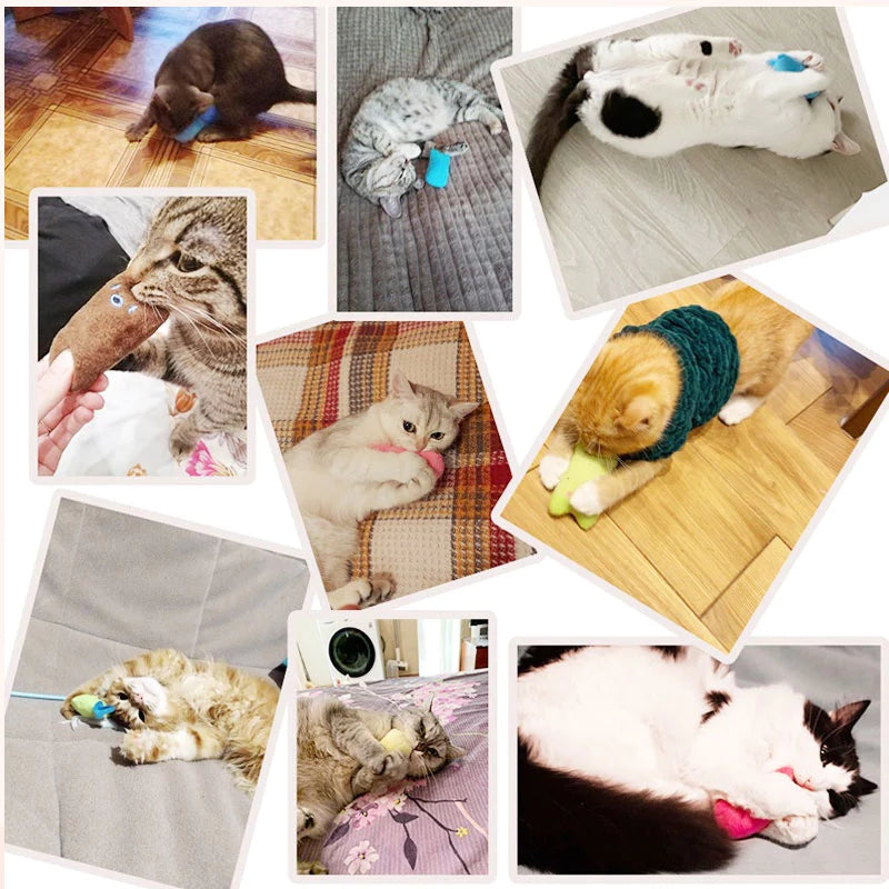 Ursinho de catnip - Compre 1 e leve 2!